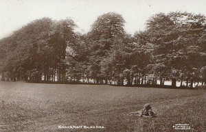 Herbert History - 1874 - Rose & Crown, Green St Green