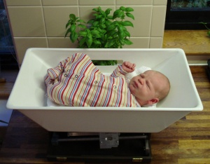 Picture of Cherub Baby Scale